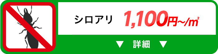 シロアリ 1,100円～