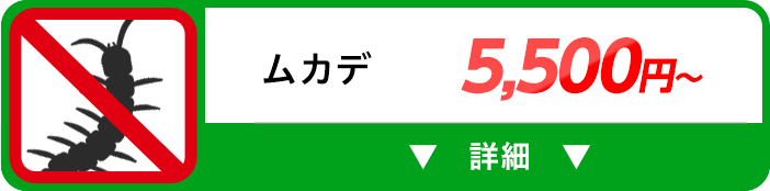 ムカデ 5,500円～
