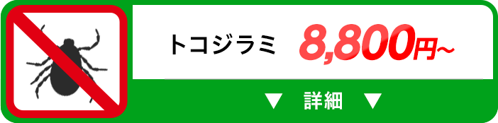 トコジラミ 8,800円～