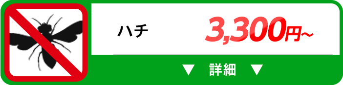 ハチ 3,300円～